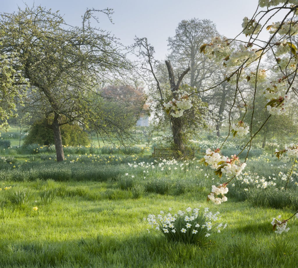 countryside in england