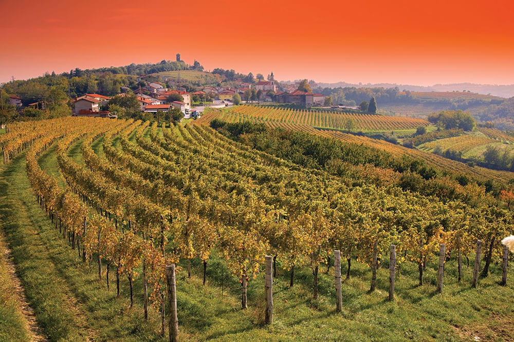 italian wine regions