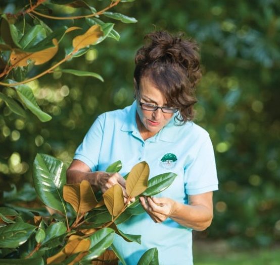 TAMMY KOVAR founded Biological Tree Services, a sustainable landscaping service that uses environmentally friendly, biological soil amendments to improve the health, vigor, and grandeur of oaks,