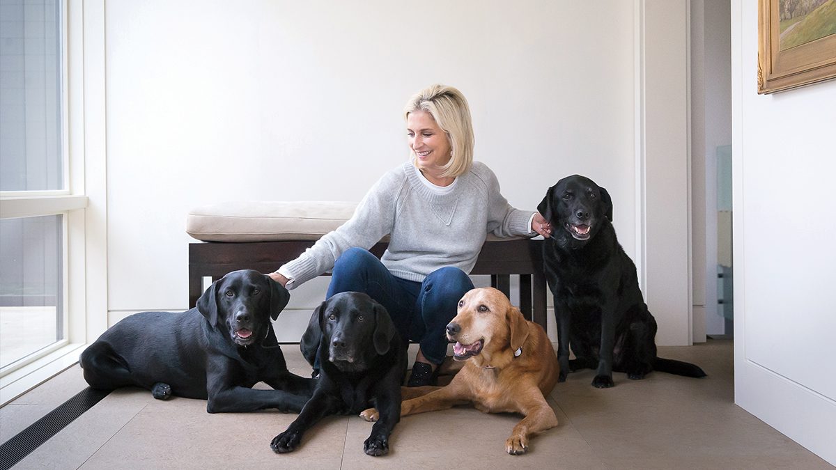 Cathy Bissel is co-owned by four Labrador Retrievers