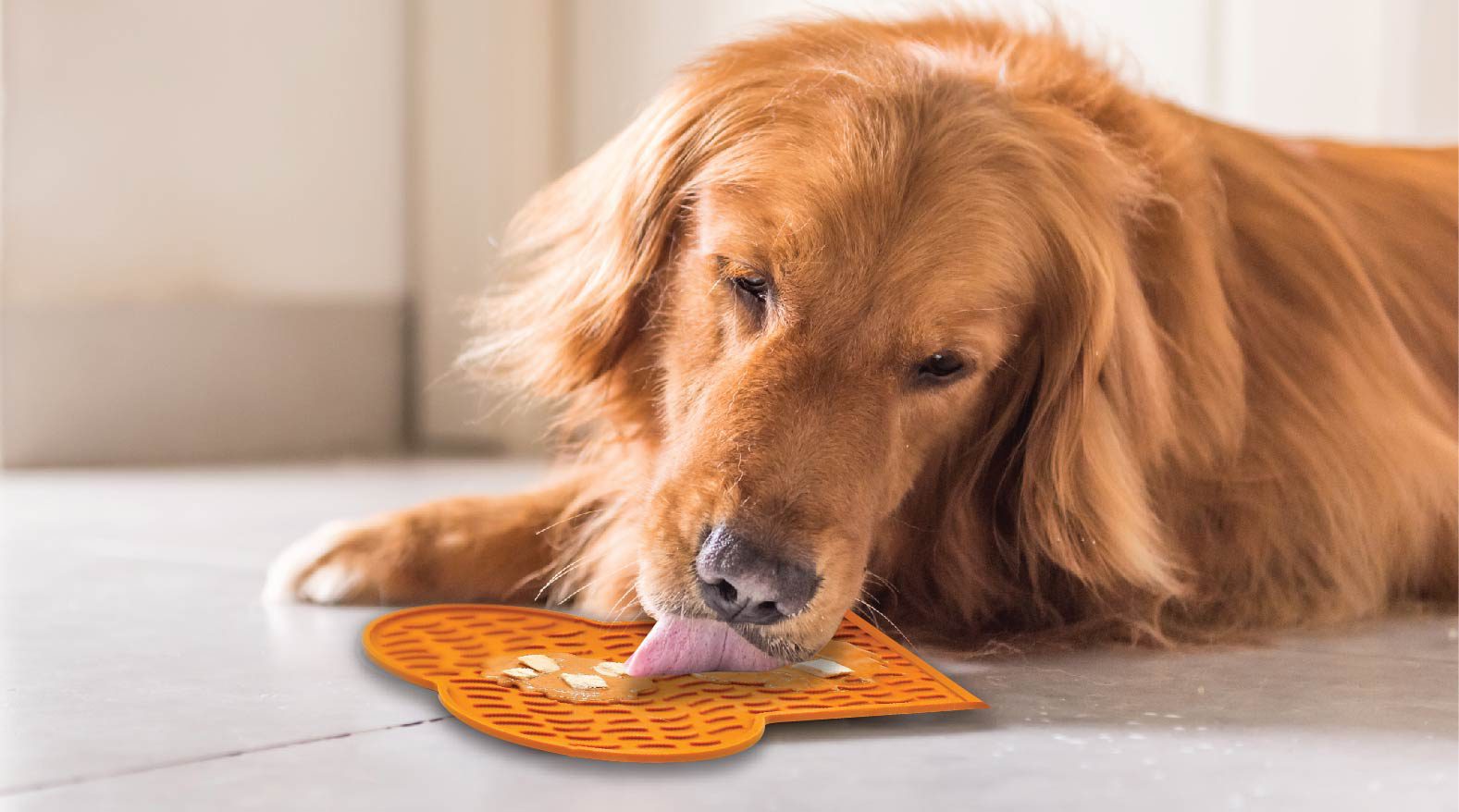 ELYSIAN Magazine  Licking Mats: Give Your Pup a Break