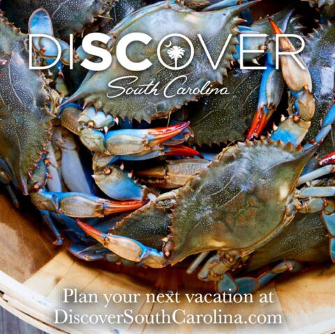 Display ad for Discover South Carolina