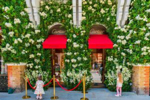LONDON, UK - MAY 26, 2023: Spectacular floral displays for Chelsea in Bloom annual floral art show transform the streets of Chelsea with breathtaking displays made of fresh flowers