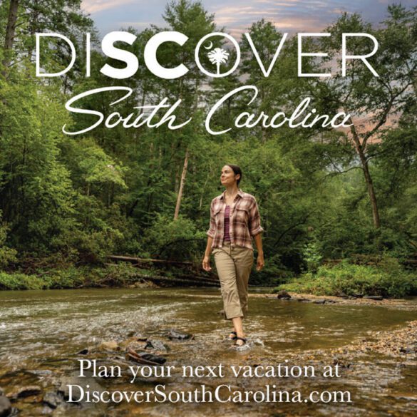 Display ad for Discover SC