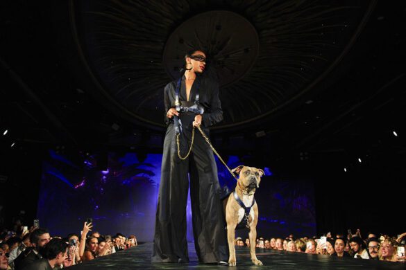 ELYSIAN Impact 4th Annual Catwalk Furbaby
