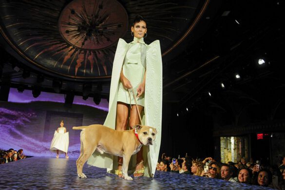 ELYSIAN Impact 4th Annual Catwalk Furbaby