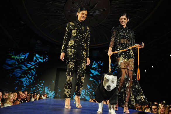ELYSIAN Impact 4th Annual Catwalk Furbaby